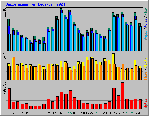 Daily usage for December 2024