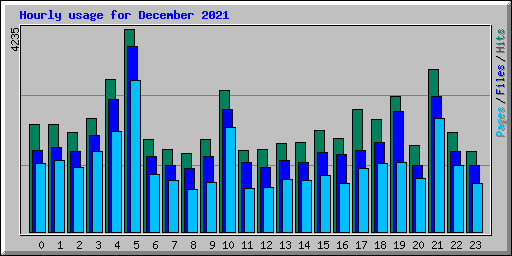 Hourly usage for December 2021