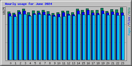 Hourly usage for June 2024