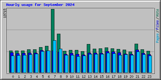 Hourly usage for September 2024