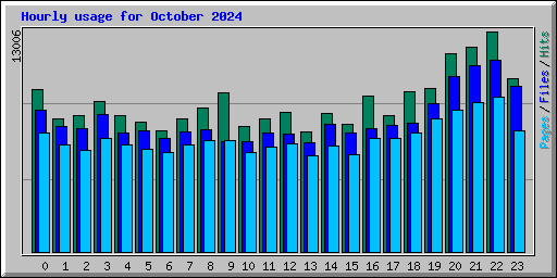 Hourly usage for October 2024