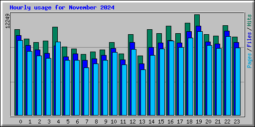 Hourly usage for November 2024