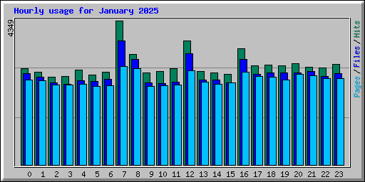 Hourly usage for January 2025