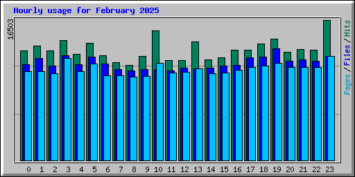 Hourly usage for February 2025