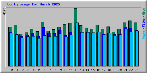 Hourly usage for March 2025