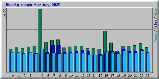 Hourly usage for May 2025