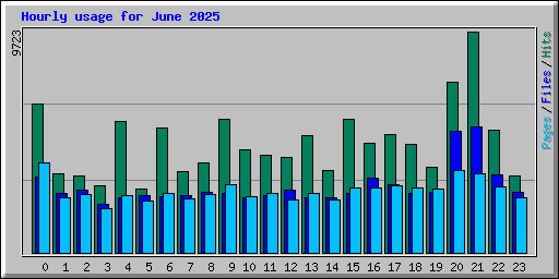 Hourly usage for June 2025