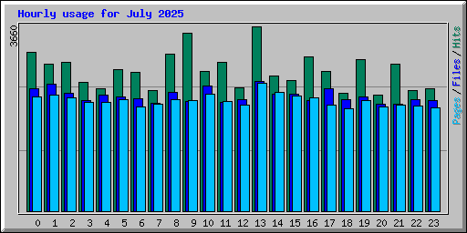 Hourly usage for July 2025