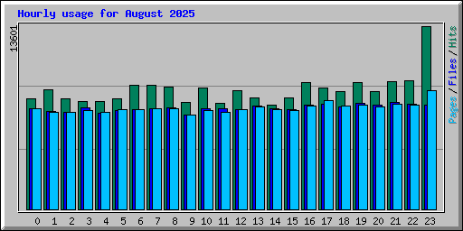 Hourly usage for August 2025