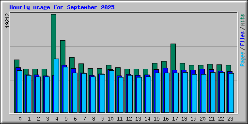 Hourly usage for September 2025