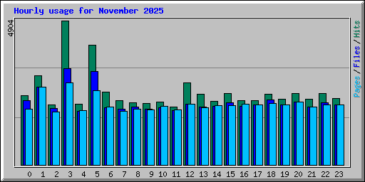 Hourly usage for November 2025