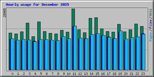 Hourly usage for December 2025