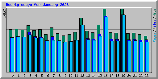 Hourly usage for January 2026